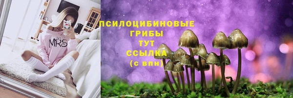 амф Алзамай